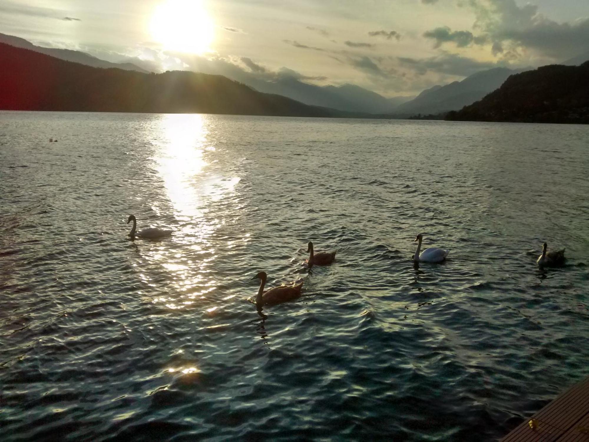 Ferienwohnungen Fischerhaus - Direkt Am See ミルシュタット エクステリア 写真