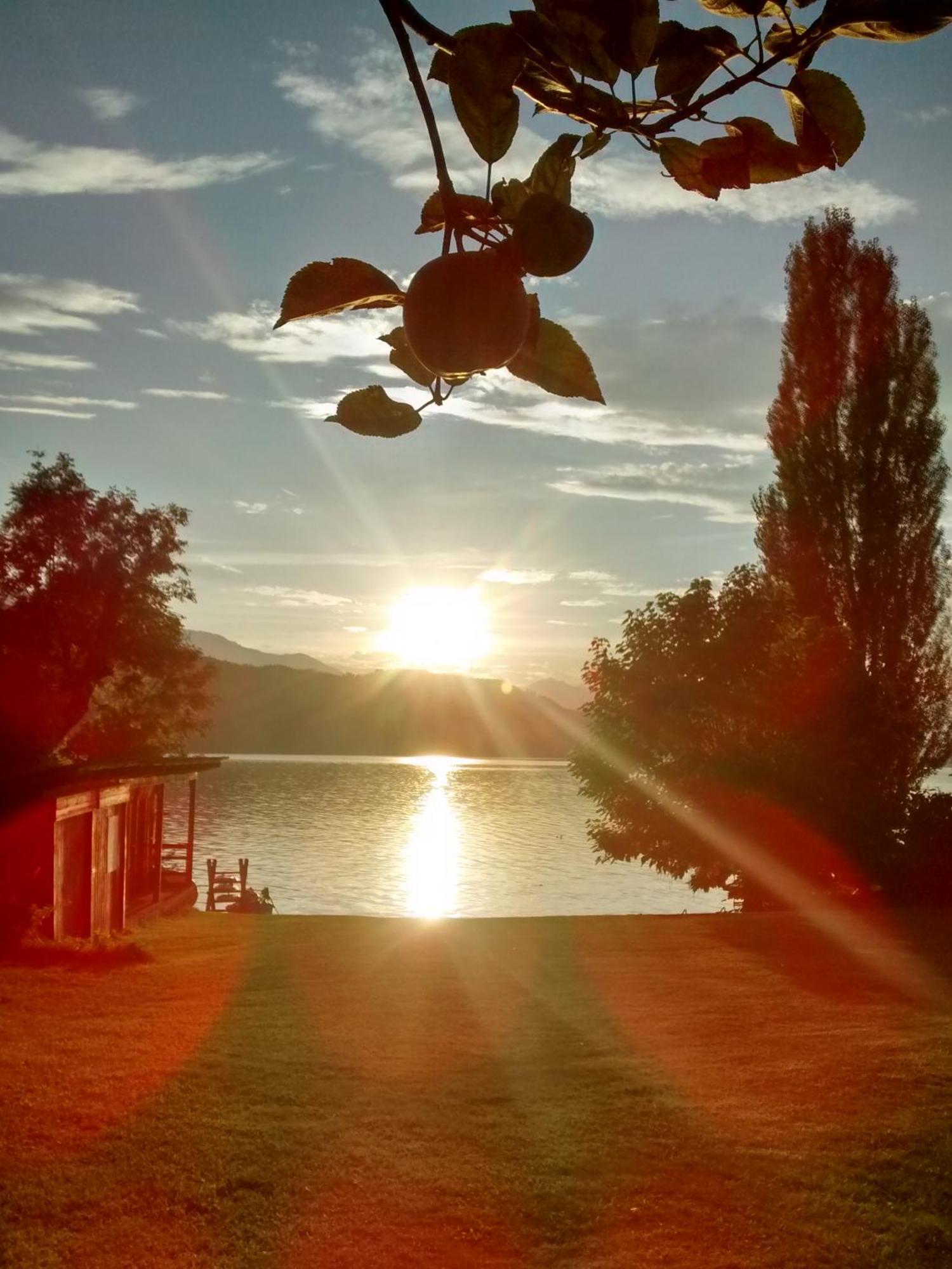 Ferienwohnungen Fischerhaus - Direkt Am See ミルシュタット エクステリア 写真
