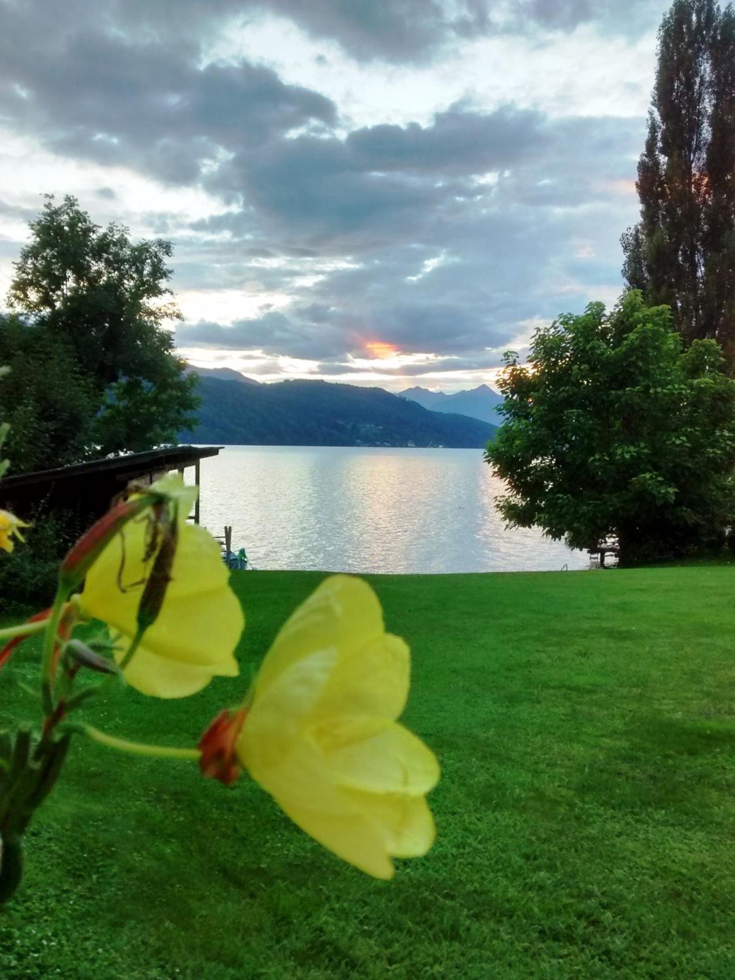 Ferienwohnungen Fischerhaus - Direkt Am See ミルシュタット エクステリア 写真