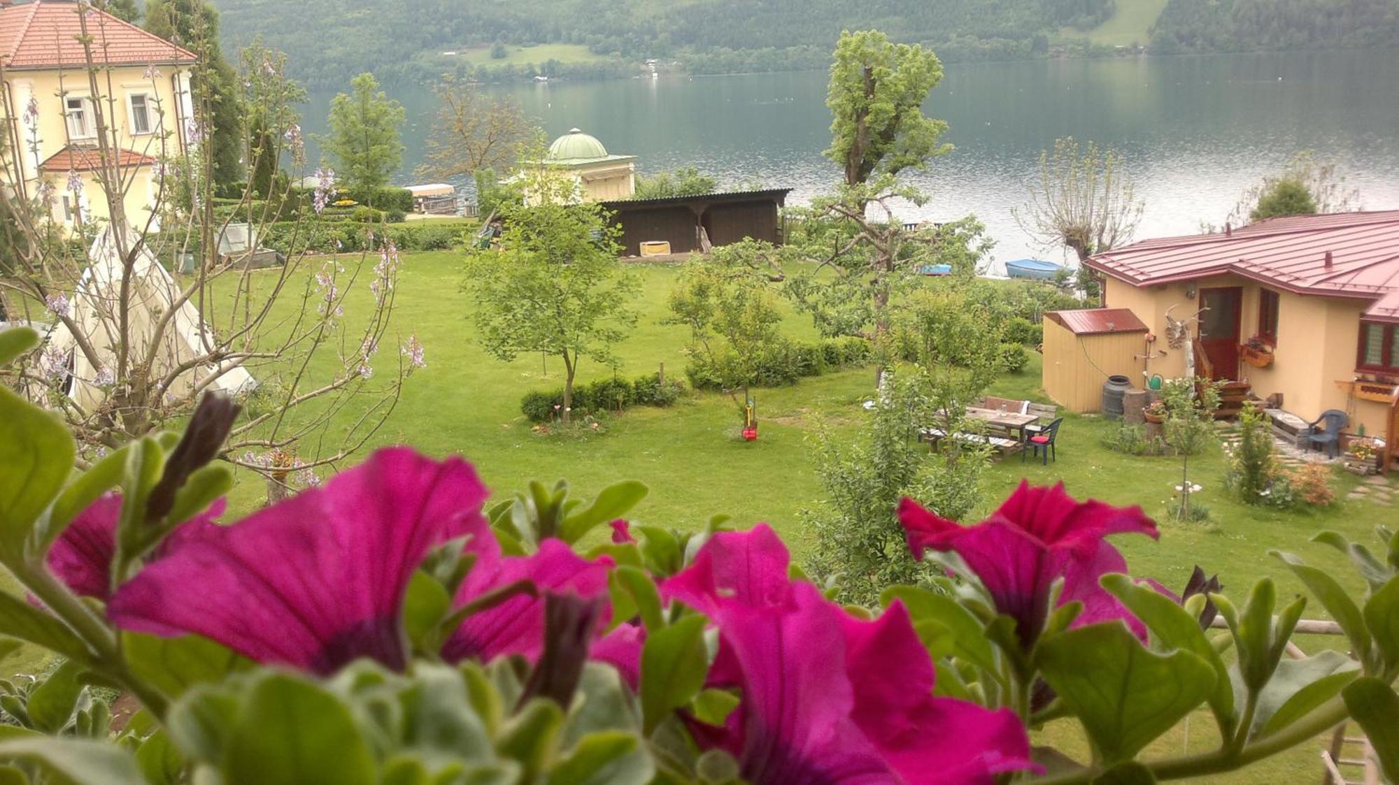 Ferienwohnungen Fischerhaus - Direkt Am See ミルシュタット エクステリア 写真