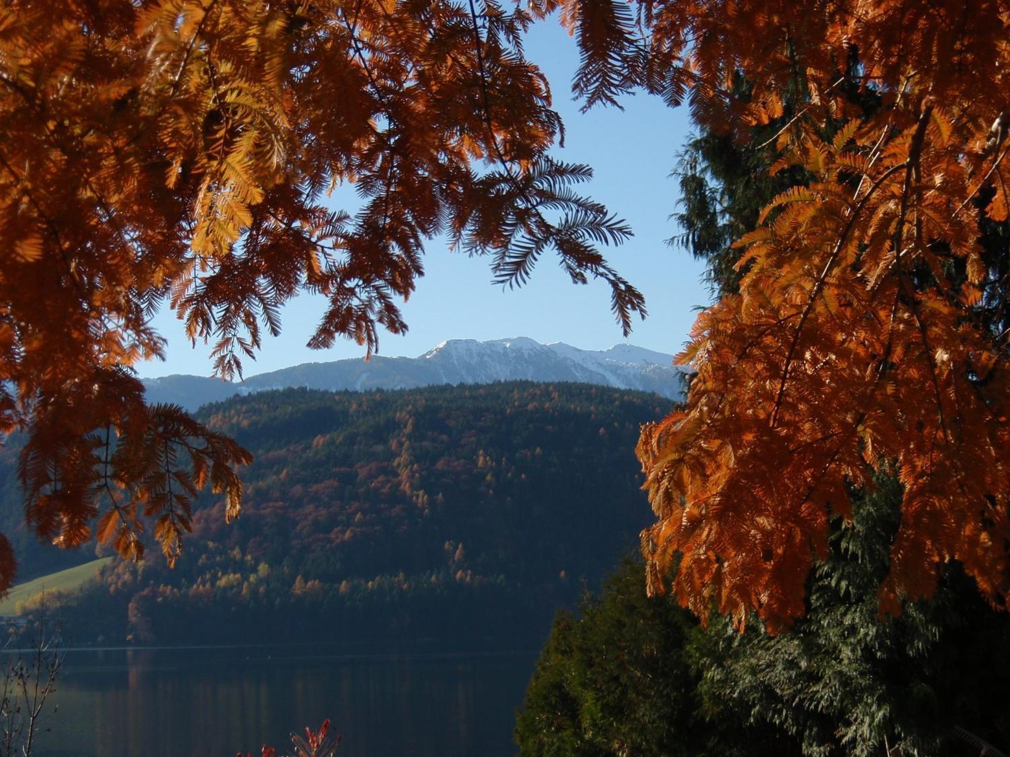 Ferienwohnungen Fischerhaus - Direkt Am See ミルシュタット エクステリア 写真